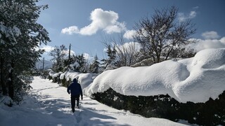 Μακεδονία: «Τσουχτερό» κρύο και κάτασπρο τοπίο σε Φλώρινα, Κοζάνη, Καστοριά