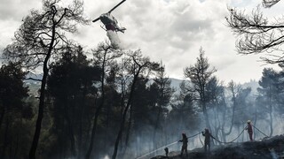 Επίτροπος Περιβάλλοντος: Στην Ελλάδα δύο νέα εναέρια πυροσβεστικά μέσα της ΕΕ