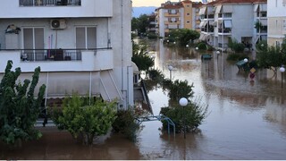 Πρόεδρος ΕΟΔΥ στο CNN GREECE: Η κλιματική κρίση πλήττει σοβαρά τη δημόσια υγεία