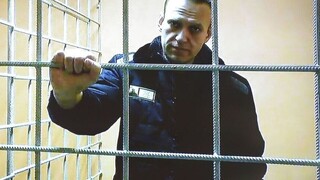 Ναβάλνι: Αστειεύεται για τις παγερές συνθήκες στις ρωσικές φυλακές «Πολικός λύκος»