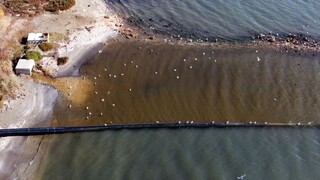 Aποκαρδιωτικές εικόνες από τη θαλάσσια ρύπανση στον Αργολικό κόλπο