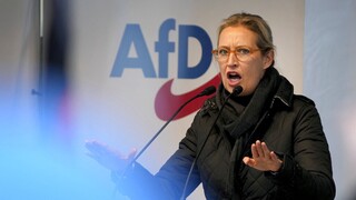 Γερμανία: Το ακροδεξιό AfD θέλει δημοψήφισμα για την έξοδο της χώρας από την ΕΕ