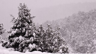 Καιρός: Έρχεται τριήμερος «παν-τουρκικός» χιονιάς - Βουτιά της θερμοκρασίας και παγετός
