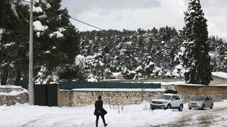 Αρνιακός για κακοκαιρία Avgi: Χιονοθύελλες με -5 βαθμούς - Στα λευκά από την Εύβοια ως τον Ψηλορείτη
