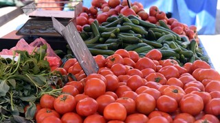 Αύξηση 31,36% στις εισαγωγές φρούτων και λαχανικών τον Ιανουάριο 2024