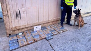 Πειραιάς: Βρέθηκε κοκαΐνη αξίας 2,8 εκατ. ευρώ σε container με μπανάνες
