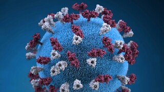 «Καμπανάκι» ΕΟΔΥ για πιθανό επιδημικό κύμα ιλαράς - Αυξάνονται τα κρούσματα