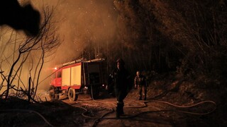 Φωτιά σε δασική έκταση στα Λεχαινά: Ισχυροί άνεμοι δυσκολεύουν την κατάσβεση