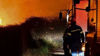 Φωτιά στην Ιστιαία Εύβοιας: Στην περιοχή δύναμη της Πυροσβεστικής