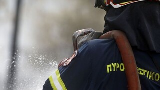 Κικίλιας: Για πρώτη φορά μαζί στα θρανία πυροσβέστες, δασάρχες, αστυνομικοί, ΟΤΑ και ΔΕΔΔΗΕ