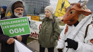 Γαλλία: Οργισμένοι κτηνοτρόφοι εισέβαλαν στην έδρα του κολοσσού των γαλακτοκομικών Lactalis  