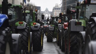 Οι αγρότες «οργώνουν» την Ευρώπη - Τα αιτήματά τους και η επίμαχη Κοινή Αγροτική Πολιτική